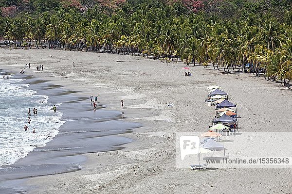 Sandy beach with palm trees  Playa Carrillo  Samara  Nicoya Peninsula  Guanacaste Province  Costa Rica  Central America