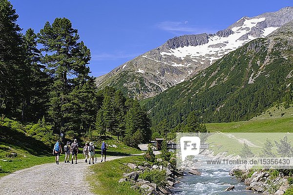 Hiking group at Zamserbach  Zamser Grund  Zillertal Alps  Zillertal  Tyrol  Austria  Europe