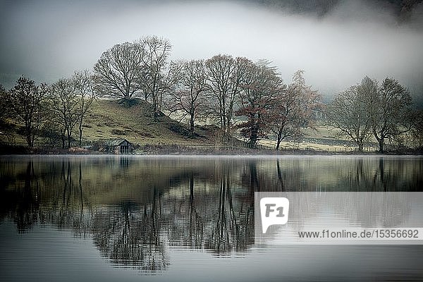 Bäume spiegeln sich in der Wasseroberfläche  Nebel  Rydal Water  Ambleside  Lake District National Park  Mittelengland  Großbritannien