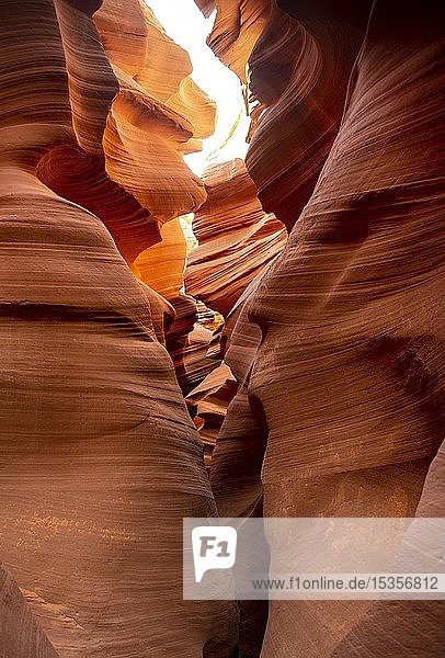 Bunte Sandsteinformation  einfallendes Licht  Lower Antelope Canyon  Slot Canyon  Page  Arizona  USA  Nordamerika