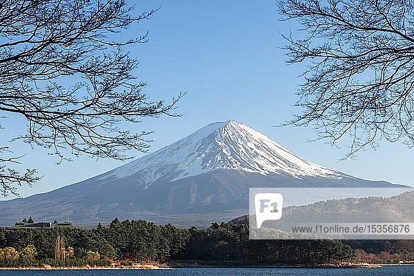 View over Lake Kawaguchi  back volcano Mt. Fuji  Yamanashi Prefecture  Japan  Asia