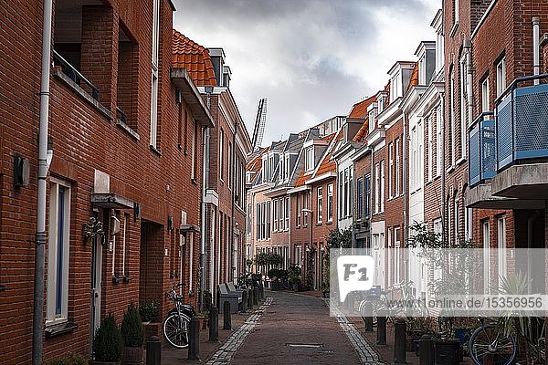Kleine Straße mit typischen Backsteinhäusern  Haarlem  Provinz Nordholland  Holland  Niederlande