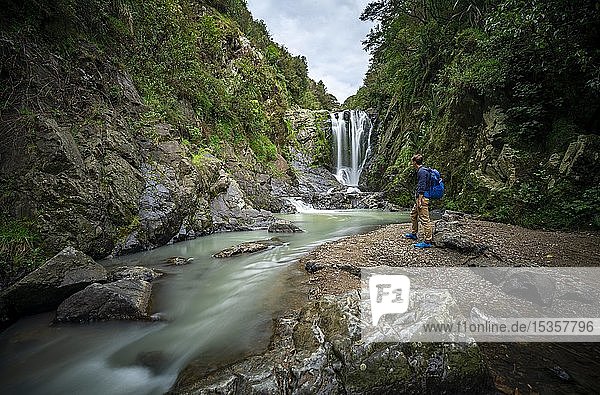 Wanderer vor dem Piroa-Wasserfall  Maungaturoto  Northland  Nordinsel  Neuseeland  Ozeanien