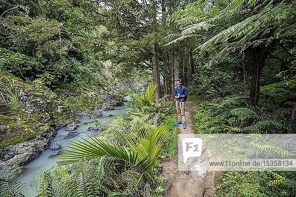 Hiker on their way to Piroa Waterfall  Maungaturoto  Northland  North Island  New Zealand  Oceania