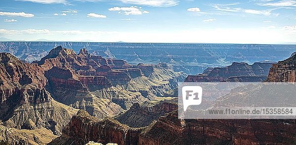 Blick auf die Canyonlandschaft vom Bright Angel Viewpoint  North Rim  Grand Canyon National Park  Arizona  USA  Nordamerika