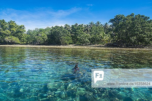 Mann beim Schnorcheln im klaren Wasser  Buka  Papua-Neuguinea  Ozeanien