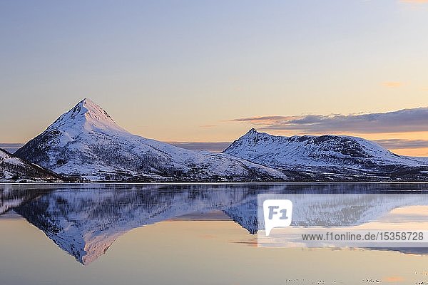 Mitternachtssonne  schneebedeckte Berge Skinnkollen und Astritinden  Wasserspiegelung im Fjord  Stønnesbotn Fjord  Insel Senja  Troms  Norwegen  Europa