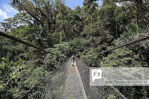 Female hiker on a suspension bridge in the tropical rainforest  Mistico Arenal Suspension Bridge Park  Mistico Arenal Hanging Bridges Park  Alajuela Province  Costa Rica  Central America