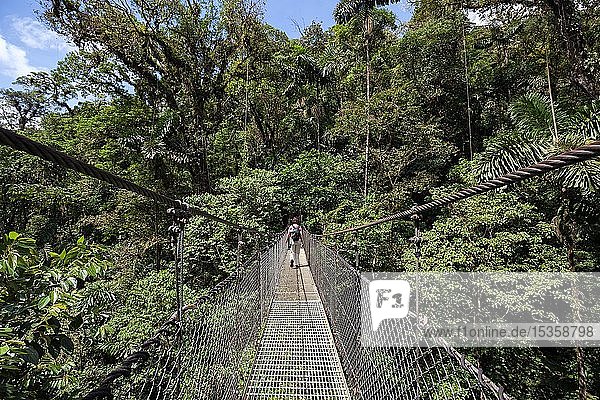 Wanderin auf einer Hängebrücke im tropischen Regenwald  Mistico Arenal Hängebrückenpark  Mistico Arenal Hängebrückenpark  Provinz Alajuela  Costa Rica  Mittelamerika