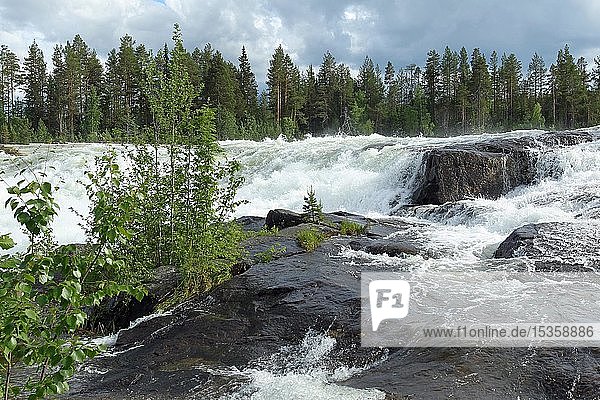 Stromschnellen Storforsen im Fluss Piteälven  Vidsel  Lappland  Schweden  Europa