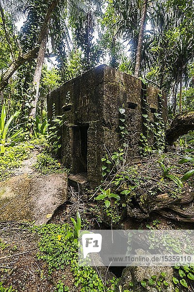 Japanischer Bunker vom Dschungel überwuchert Kavieng Neuirland Papua-Neuguinea Ozeanien