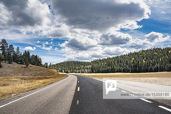 Highway through forest area with cloudy sky  North Rim  Grand Canyon National Park  Arizona  USA  North America