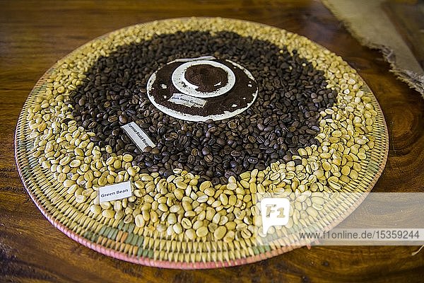 Grüne und geröstete frische Kaffeebohnen  Tanna Kaffeefabrik  Port Vila  Vanuatu  Ozeanien