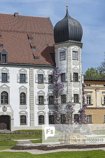 Schloss Maxlrain bei Tuntenhausen  Oberbayern  Bayern  Deutschland  Europa