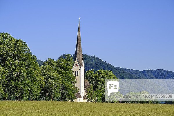 Kirche St. Leonhard  Fischhausen am Schliersee  Oberbayern  Bayern  Deutschland  Europa