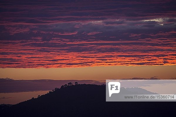 Sunset  evening sky with red clouds  near Paguera or Peguera  Majorca  Balearic Islands  Spain  Europe