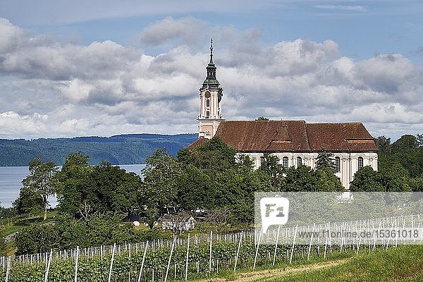 Blick auf den Bodensee mit Weinberg und Kloster Birnau  bei Überlingen  Baden-Württemberg  Deutschland  Europa