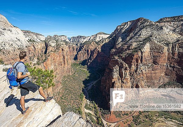 Young man  hiker standing at cliff  view from Angels Landing into Zion Canyon with Virgin River  Zion National Park  Utah  USA  North America