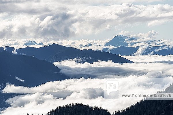 View from Artist Point  mountain landscape in clouds  Mount Baker-Snoqualmie National Forest  Washington  USA  North America