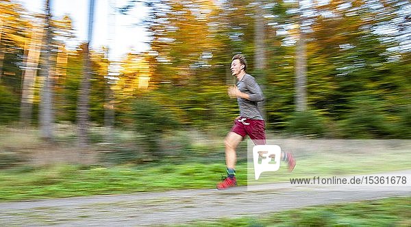 Junger Mann beim Joggen im herbstlichen Wald  Puller  Perlacher Forst  München  Oberbayern  Bayern  Deutschland  Europa