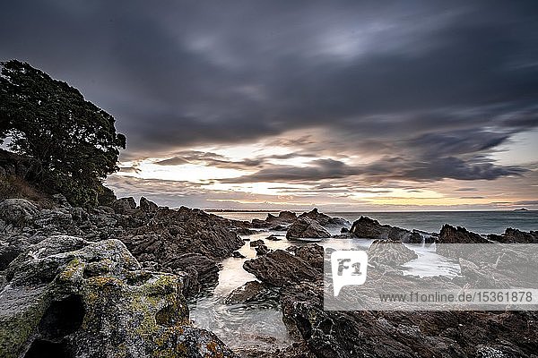 Felsenküste bei Sonnenuntergang  Bay of Plenty  Nordinsel  Neuseeland  Ozeanien