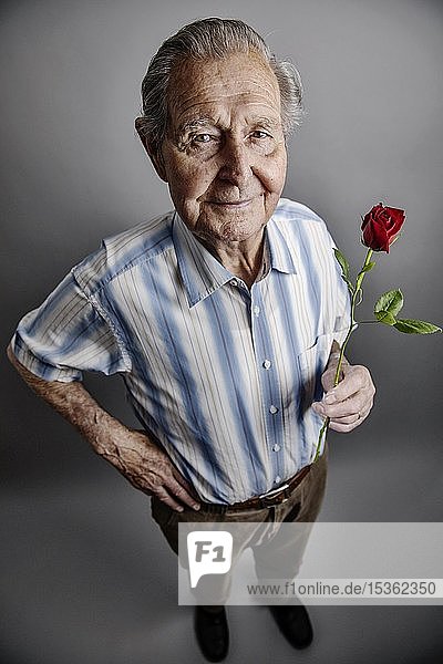 Senior hält eine rote Rose in seiner Hand  Symbolbild Liebe  Romantik  Studioaufnahme  Deutschland  Europa