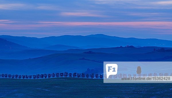 Typische toskanische Landschaft in der Abenddämmerung  Hügellandschaft mit Baumallee  bei San Quirico d'Orcia  Val d'Orcia  Toskana  Italien  Europa