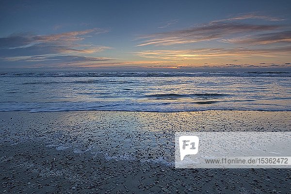 Sonnenuntergang am Strand der Nordsee mit Muscheln  Texel  Nordholland  Niederlande