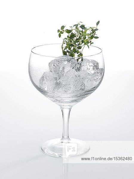 Glas für Cocktail vorbereitet  dekoriert mit Thymian  Eiswürfel  Deutschland  Europa