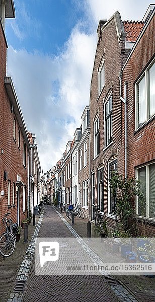 Small street with typical brick houses  Haarlem  Province of North Holland  Holland  Netherlands