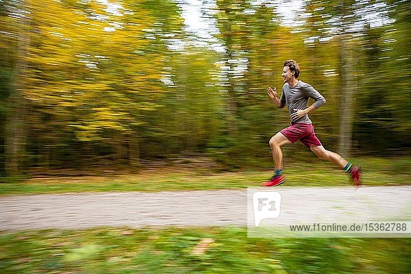 Young man jogging in the autumnal forest  puller  Perlacher Forst  Munich  Upper Bavaria  Bavaria  Germany  Europe