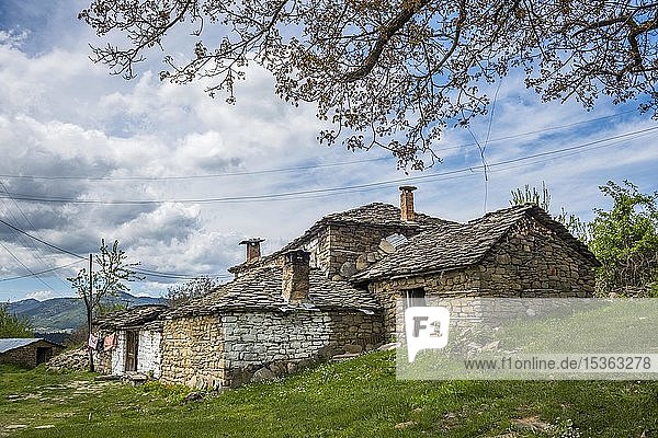 Alte Steinhäuser in dem Dorf Shipcka  auch Shtpckë  bei Voskopoje  Albanien  Europa