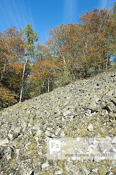 Blockhalde  Berg Lösershag  Herbst  Biosphärenreservat Rhön  Naturschutzgebiet Schwarze Berge  Bayern  Deutschland  Europa