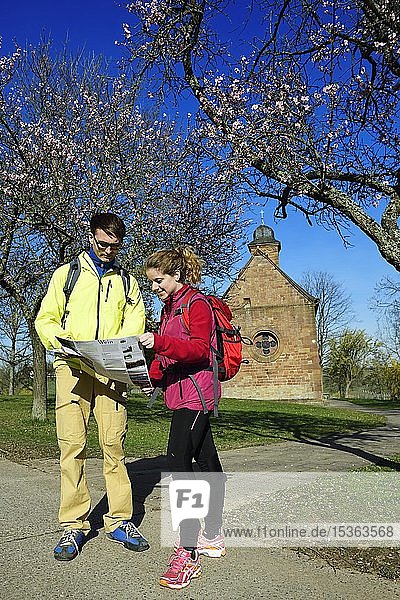 Wanderer lesen Karte vor der Nikolauskapelle  Klingenmünster  Pfälzer Mandelpfad  Deutsche Weinstraße  Rheinland-Pfalz  Deutschland  Europa