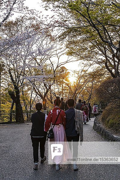 Japanese walking in the park  at sunset  Kyoto  Japan  Asia
