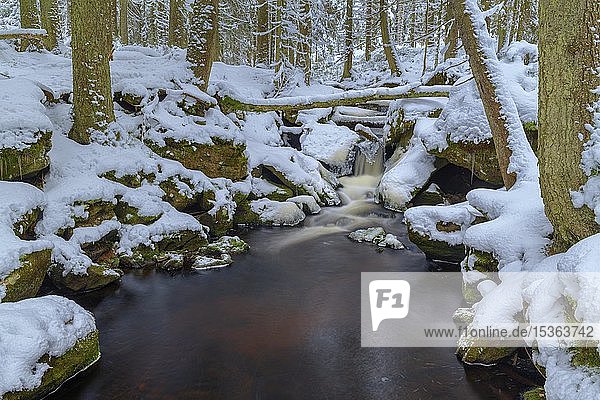 Winterlandschaft am Hammerbach  Langzeitbelichtung  Nationalpark Sumava  Böhmerwald  Tschechische Republik  Europa