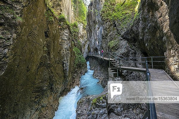 Holzbrücke durch die Leutaschklamm  bei Mittenwald  Oberbayern  Bayern  Deutschland  Europa