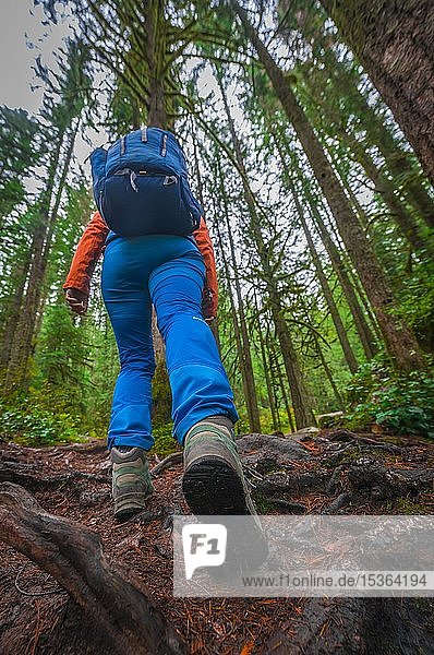 Hiker on a forest path  hiking shoe close-up  Washington  USA  North America