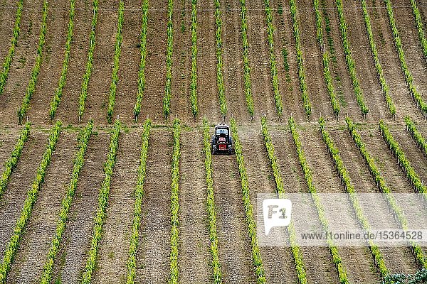 Traktor im Weinberg im Frühjahr Bezirk Matera Basilikata Italien Europa
