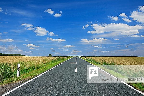 Landstraße durch Felder im Sommer  führt direkt zum Horizont  blauer Himmel mit Wolken  schönes Wetter  Sachsen-Anhalt  Deutschland  Europa