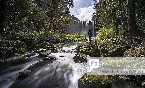 Young man standing in front of waterfall  Whangarei Falls  River Hatea  Whangarei Falls Scenic Reserve  Northland  North Island  New Zealand  Oceania