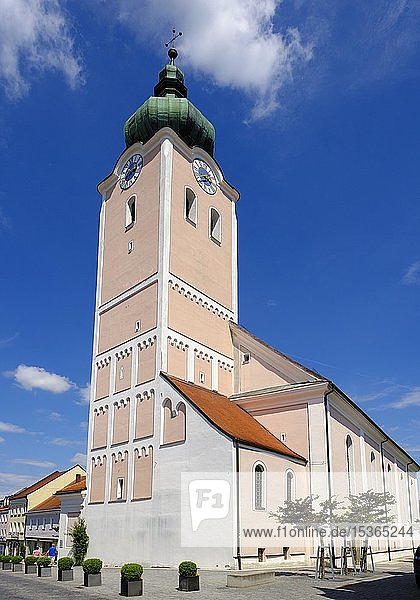 Pfarrkirche Mariä Himmelfahrt  Landau an der Isar  Niederbayern  Bayern  Deutschland  Europa