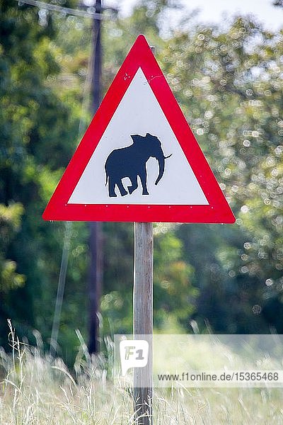Warnschild  Warnung vor wilden Elefanten  Manyeleti Game Reserve  Südafrika  Afrika