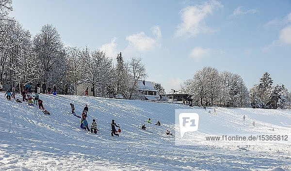 Children tobogganing at sled mountain  Harlaching  Munich  Bavaria  Germany  Europe