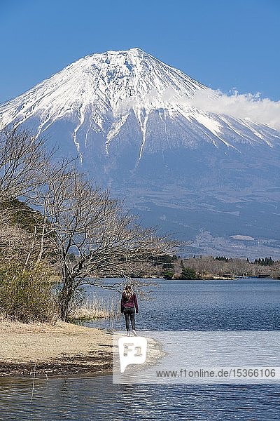 Young woman on the shore  view over a lake to the volcano Mt Fuji  Tanuki Lake  Yamanashi Prefecture  Japan  Asia