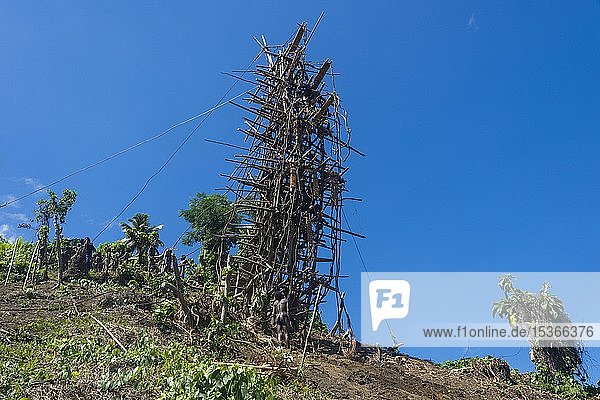 Bambus-Turm für Land-Tauchen Pfingsten Vanuatu Ozeanien