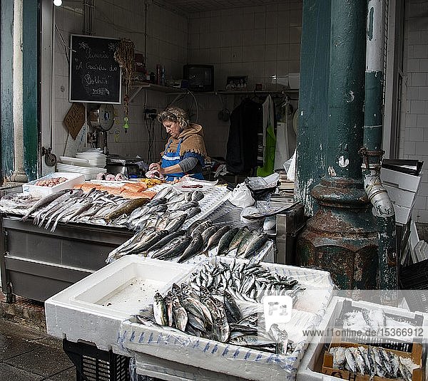 Fischstand  Auslage von Meeresfischen  Mercado de Bolhão  Porto  Portugal  Europa