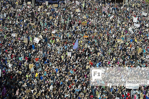 Menschenmenge von oben  Demonstranten beim Klimastreik  Demonstration 20.09.2019  fridays for future  Freiburg im Breisgau  Baden-Württemberg  Deutschland  Europa