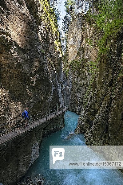 Holzsteg durch Leutaschklamm bei Mittenwald Bayern Deutschland Europa