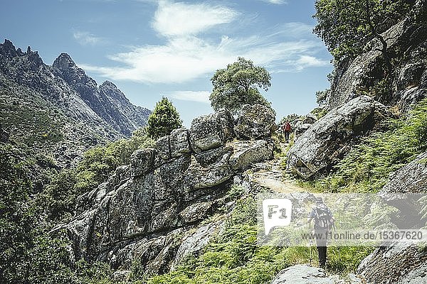 Hikers in rocky landscape  Sierra de Gredos  Extremadura  Castile and Leon  Spain  Europe